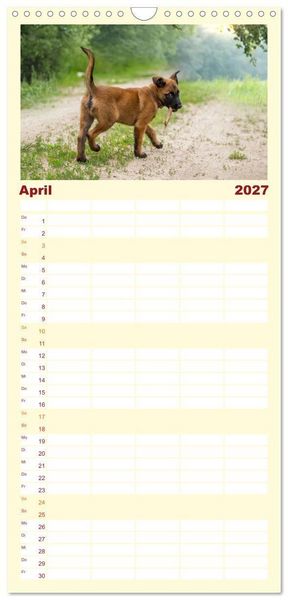 Produktbild: Familienplaner 2027 - Traumhund Malinois mit 5 Spalten (Wandkalender, 21 x 45 cm) CALVENDO