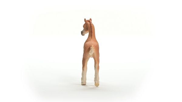 Produktbild: schleich&reg; 13984 Araber Fohlen