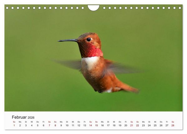 Produktbild: V&ouml;gel - Die K&ouml;nige der L&uuml;fte (Wandkalender 2026 DIN A4 quer), CALVENDO Monatskalender