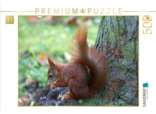 CALVENDO Puzzle Eichhörnchen in freier Natur | 500 Teile Lege-Größe 48 × 36 cm Foto-Puzzle für Erwachsene