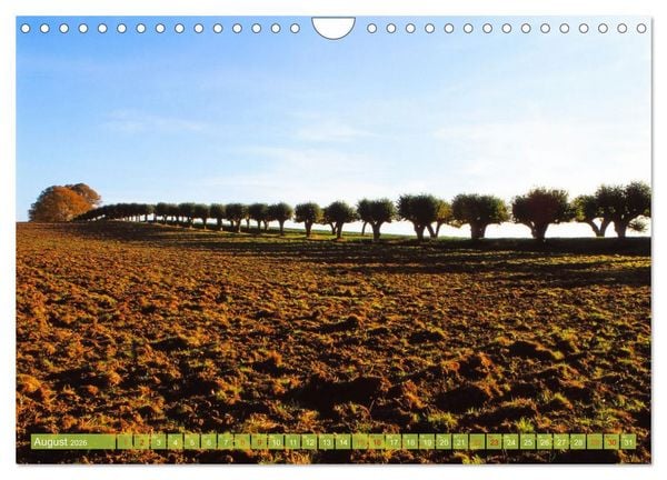 Produktbild: Landwirtschaft Natur pur Mecklenburg-Vorpommern (Wandkalender 2026 DIN A4 quer), CALVENDO Monatskalender