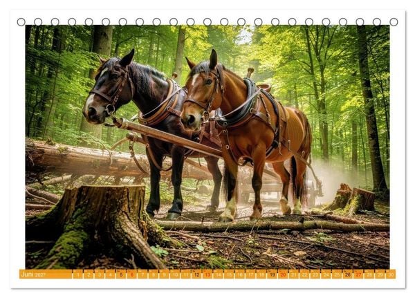 Produktbild: Arbeitspferde in Action (Tischkalender 2027 DIN A5 quer), CALVENDO Monatskalender