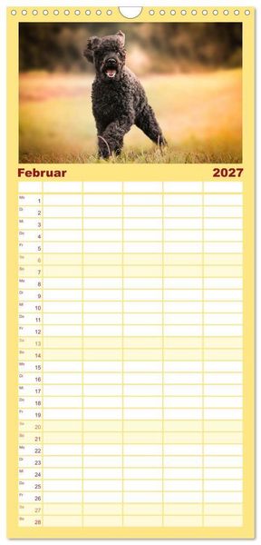 Produktbild: Familienplaner 2027 - Lockenw&ouml;lfe - Energieb&uuml;ndel Pudel mit 5 Spalten (Wandkalender, 21 x 45 cm) CALVENDO