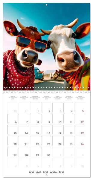 Produktbild: Jolly Selfies (Wall Calendar 2026 12 &times; 12 Inch) CALVENDO 12 Month Wall Calendar