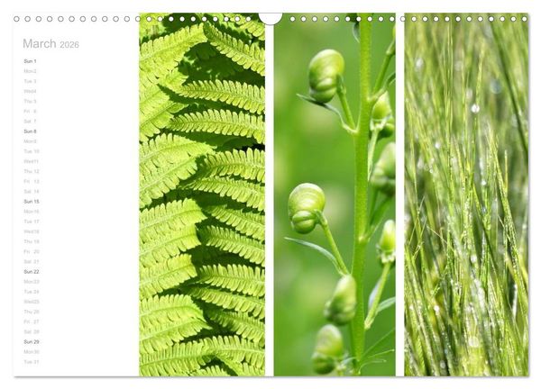 Produktbild: Natural Trios (Wall Calendar 2026 DIN A3 landscape), CALVENDO 12 Month Wall Calendar