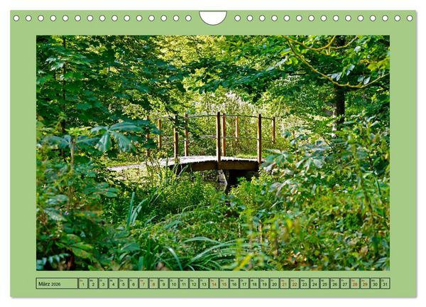 Produktbild: Faszination Stadtpark Odense (Wandkalender 2026 DIN A4 quer), CALVENDO Monatskalender