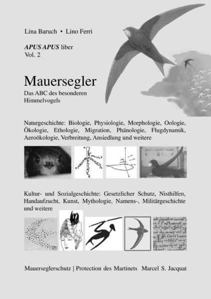Produktbild: APUS APUS liber, vol. 2. Mauersegler