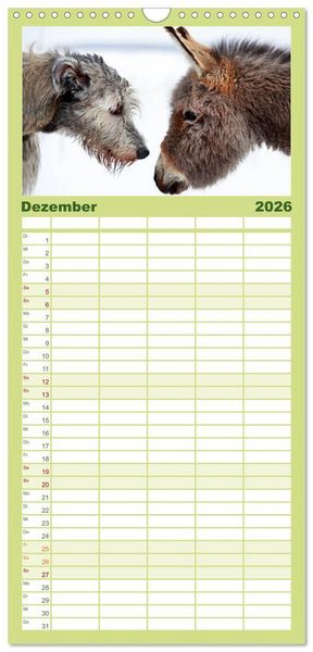 Produktbild: Familienplaner 2026 - Das Esel-Paradies - Hunde und andere Feunde mit 5 Spalten (Wandkalender, 21 x 45 cm) CALVENDO