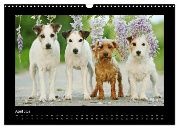 Produktbild: Die Parsons (Wandkalender 2026 DIN A3 quer), CALVENDO Monatskalender