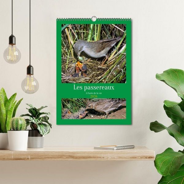 Produktbild: Les passereaux &agrave; l'or&eacute;e de la vie (Calendrier mural 2026 DIN A3 horizontal), CALVENDO calendrier mensuel