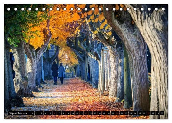 Produktbild: Bamberg - das fr&auml;nkische Rom (Tischkalender 2026 DIN A5 quer), CALVENDO Monatskalender