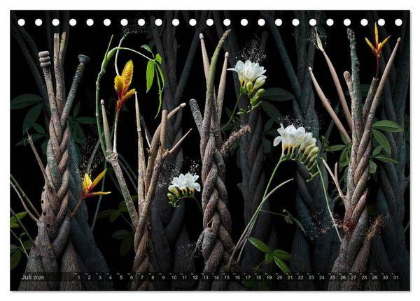 Produktbild: Musica fant&aacute;sia - Die wundersame Welt des Fotok&uuml;nstlers Olaf Bruhn (Tischkalender 2026 DIN A5 quer), CALVENDO Monatskalender