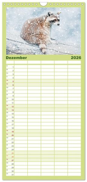 Produktbild: Familienplaner 2026 - Waschb&auml;r - Niedlicher Allesfresser mit 5 Spalten (Wandkalender, 21 x 45 cm) CALVENDO