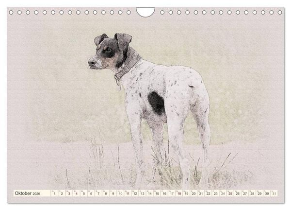 Produktbild: Bodeguero Andaluz 2026 (Wandkalender 2026 DIN A4 quer), CALVENDO Monatskalender