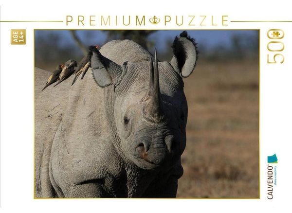 CALVENDO Puzzle Nashorn im Ol Pejeta Conservancy Kenia | 500 Teile Lege-Größe 48 × 36 cm Foto-Puzzle für Erwachsene