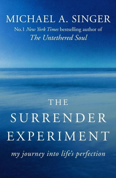 Book cover of The Surrender Experiment