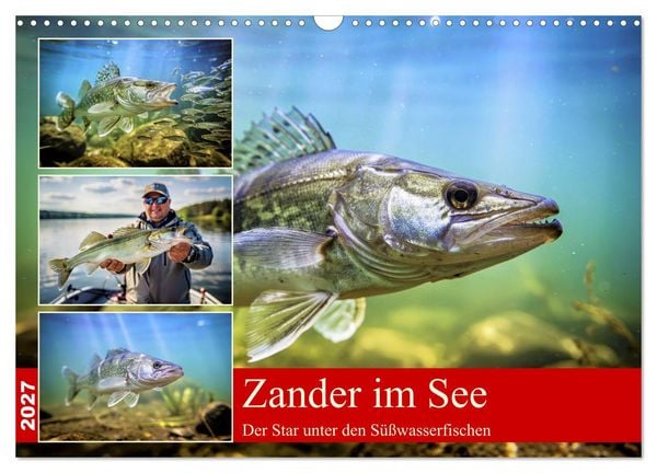 Produktbild: Zander im See (Wandkalender 2027 DIN A3 quer), CALVENDO Monatskalender