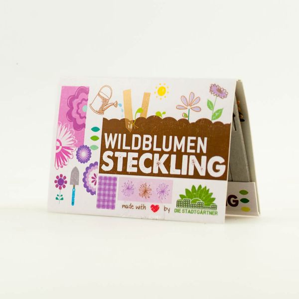 Steckling Wildblumen