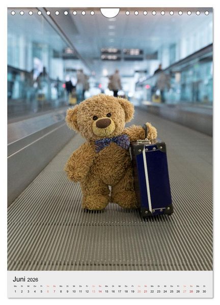 Produktbild: Travelling Teddy liebt es Bunt (Wandkalender 2026 DIN A4 hoch), CALVENDO Monatskalender