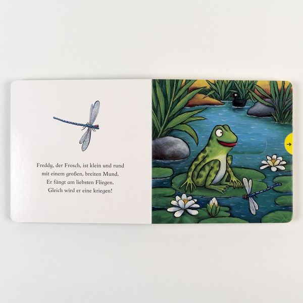 Produktbild: Freddy, der Frosch