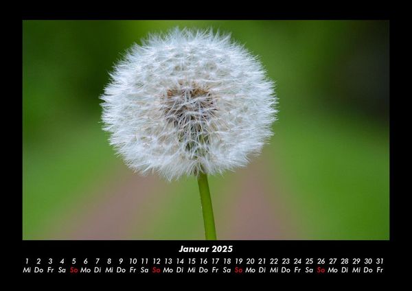 Produktbild: Naturlandschaften 2025 Fotokalender DIN A3