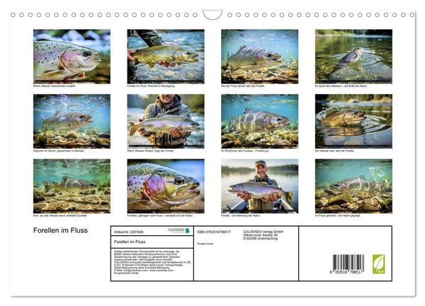Produktbild: Forellen im Fluss (Wandkalender 2027 DIN A3 quer), CALVENDO Monatskalender