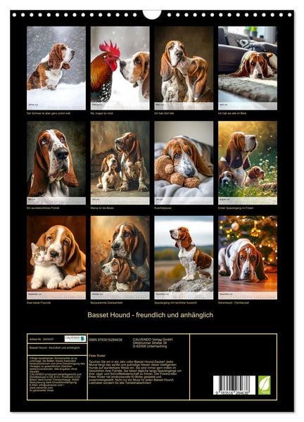 Produktbild: Basset Hound - freundlich und anh&auml;nglich (Wandkalender 2026 DIN A3 hoch), CALVENDO Monatskalender