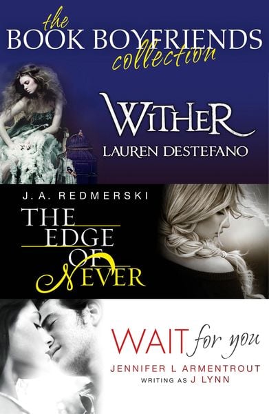 Produktbild: The Book Boyfriends Collection