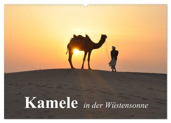 Kamele in der Wüstensonne (Wandkalender 2026 DIN A2 quer), CALVENDO Monatskalender