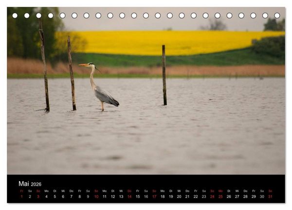 Produktbild: Wasserwandern in Mecklenburg-Vorpommern (Tischkalender 2026 DIN A5 quer), CALVENDO Monatskalender