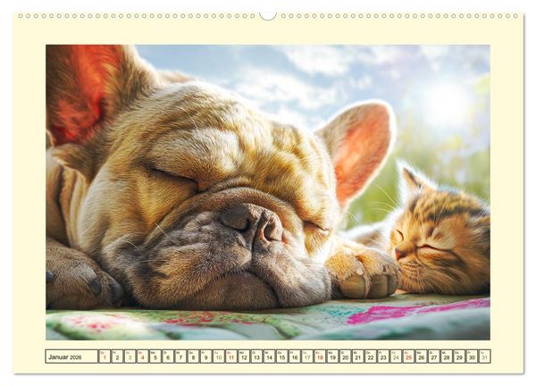 Produktbild: Fledermaus Alarm. Franz&ouml;siche Bulldoggen in der Natur (hochwertiger Premium Wandkalender 2026 DIN A2 quer), Kunstdruck in Hochglanz