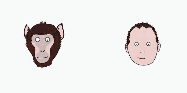 Produktbild: BiBiBiber hat da mal 'ne Frage. Warum k&ouml;nnen Babys nix? Leben & Tiere