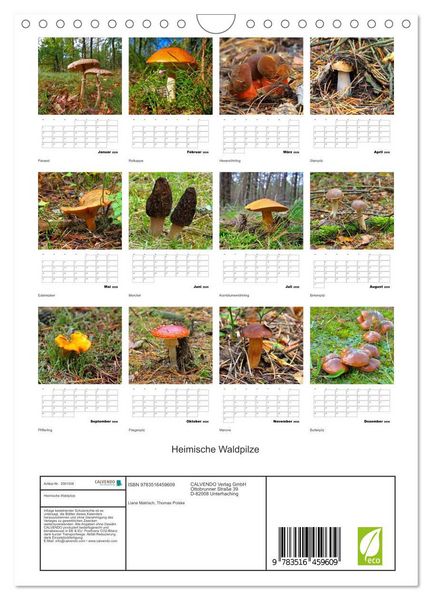 Produktbild: Heimische Waldpilze (Wandkalender 2026 DIN A4 hoch), CALVENDO Monatskalender