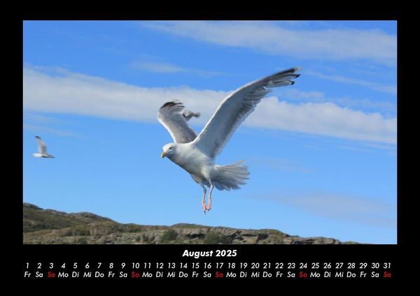 Produktbild: Nordsee 2025 Fotokalender DIN A3