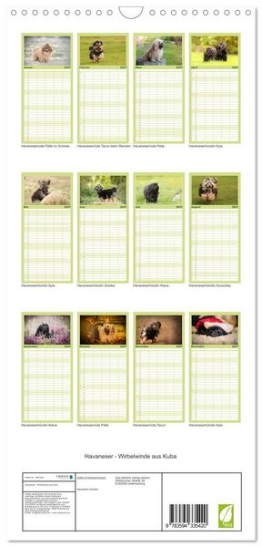 Produktbild: Familienplaner 2027 - Havaneser - Wirbelwinde aus Kuba mit 5 Spalten (Wandkalender, 21 x 45 cm) CALVENDO