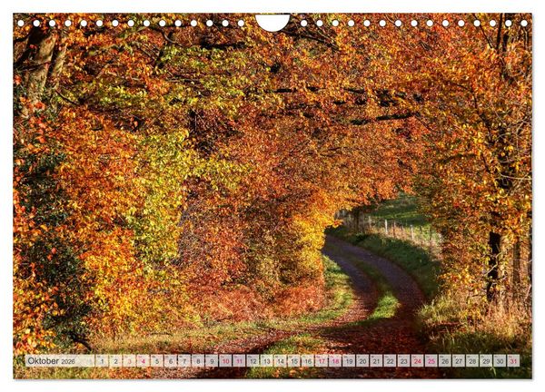 Produktbild: Idyllische Wanderwege im Bergischen Land (Wandkalender 2026 DIN A4 quer), CALVENDO Monatskalender