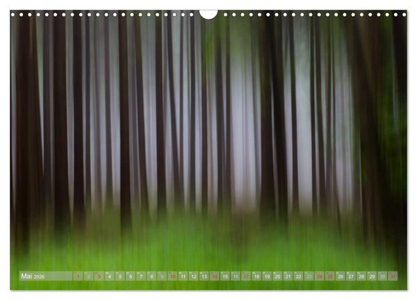 Produktbild: Atelier Wald - gemalt mit Licht (Wandkalender 2026 DIN A3 quer), CALVENDO Monatskalender