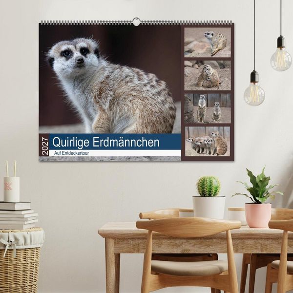 Produktbild: Quirlige Erdm&auml;nnchen (Wandkalender 2027 DIN A2 quer), CALVENDO Monatskalender
