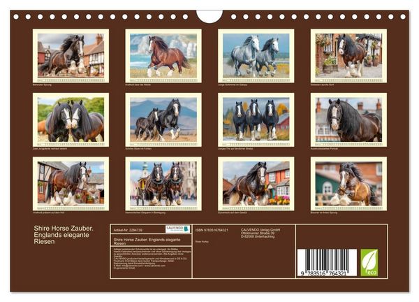 Produktbild: Shire Horse Zauber. Englands elegante Riesen (Wandkalender 2027 DIN A4 quer), CALVENDO Monatskalender