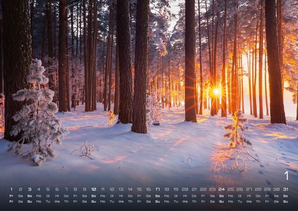 Produktbild: Wald - Erholung f&uuml;r Mensch und Tier - 2027 - Kalender DIN A3
