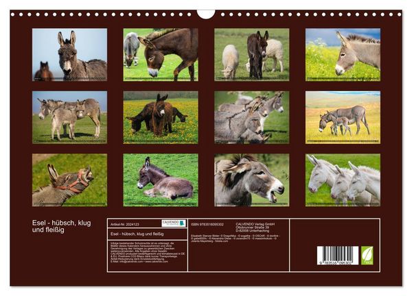 Produktbild: Esel - h&uuml;bsch, klug und flei&szlig;ig (Wandkalender 2026 DIN A3 quer), CALVENDO Monatskalender