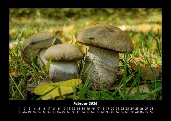 Produktbild: Natur 2026 Fotokalender DIN A3