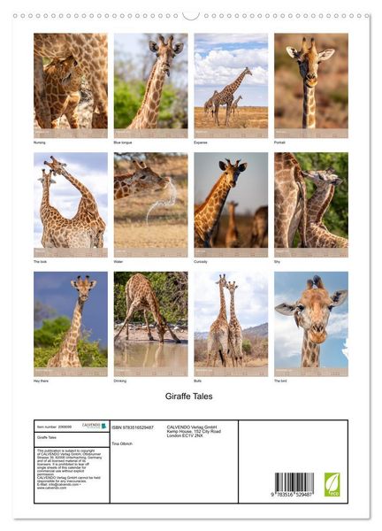 Produktbild: Giraffe Tales (High Quality Premium Wall Calendar 2026 DIN A2 portrait),CALVENDO 12 Month Wall Calendar