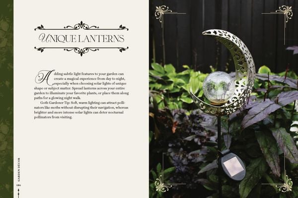 Produktbild: Darkness in Bloom