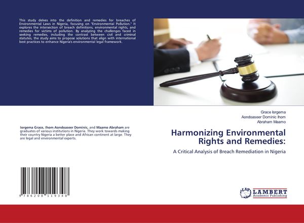 Produktbild: Harmonizing Environmental Rights and Remedies: