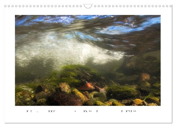 Produktbild: Unter Wasser in B&auml;chen und Fl&uuml;ssen (Wandkalender 2026 DIN A3 quer), CALVENDO Monatskalender