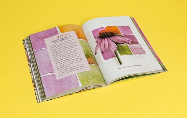 Produktbild: The Generosity of Plants