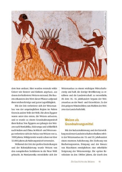 Produktbild: Z&ouml;liakie