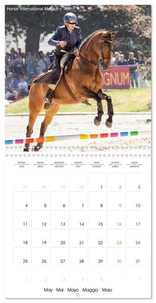 Produktbild: The Speed Trail (Wall Calendar 2026 12 &times; 12 Inch) CALVENDO 12 Month Wall Calendar