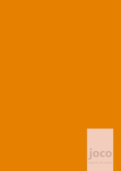 Produktbild: joco - orange - Dein Weg zum Erfolg - ein Tagebuch, Journal f&uuml;r Achtsamkeit, Dankbarkeit und Pers&ouml;nlichkeitsentwicklung
